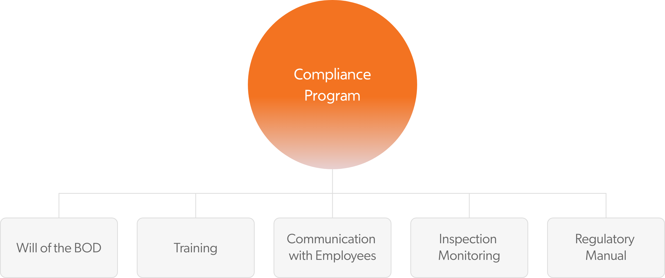 Compliance Program : Will of the BOD, Training, Communication with employees, Inspection monitoring, Regulatory manual